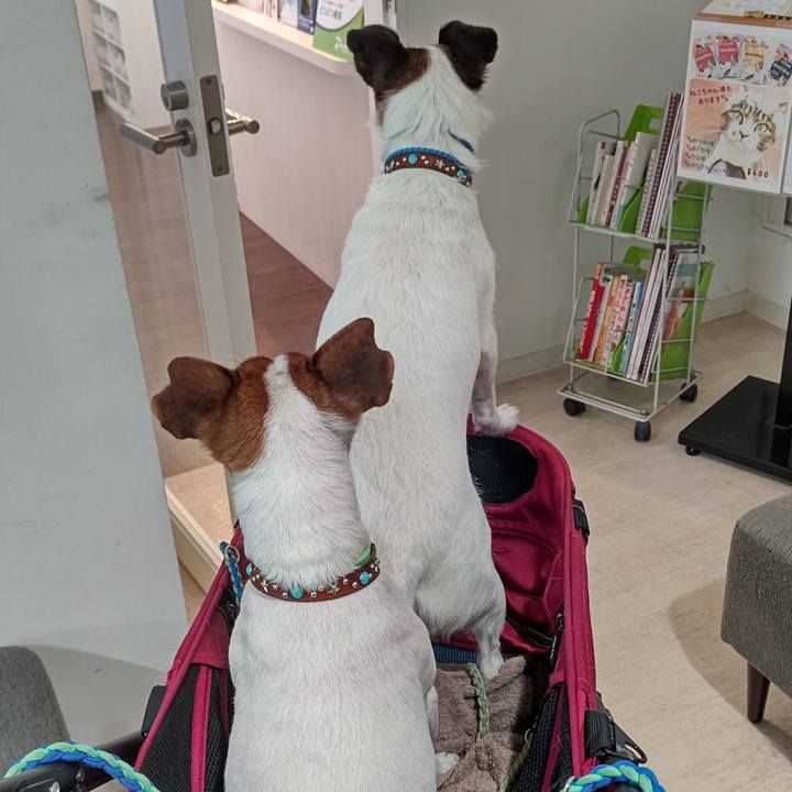 E2e1a49a a295 4f22 a5c2 c9665a56c38c 1634953547836