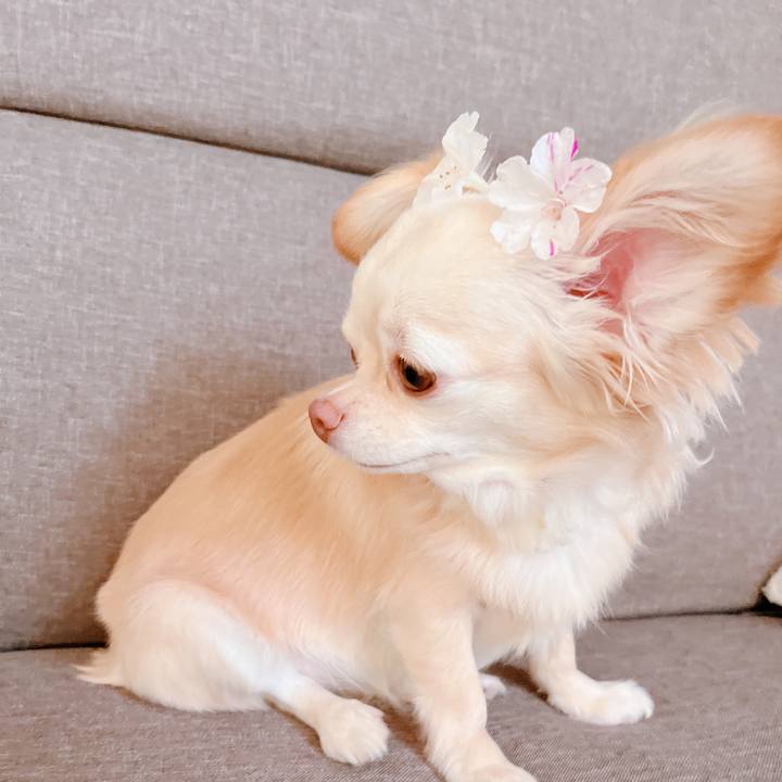 E2e1a6ad 96db 4a0a 8c98 3fda9cd73d27 1657509135447