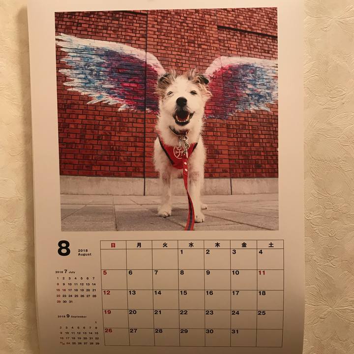 E2e1b672 f498 4ccd a4ee 40a3fc506ec9 1533123903464