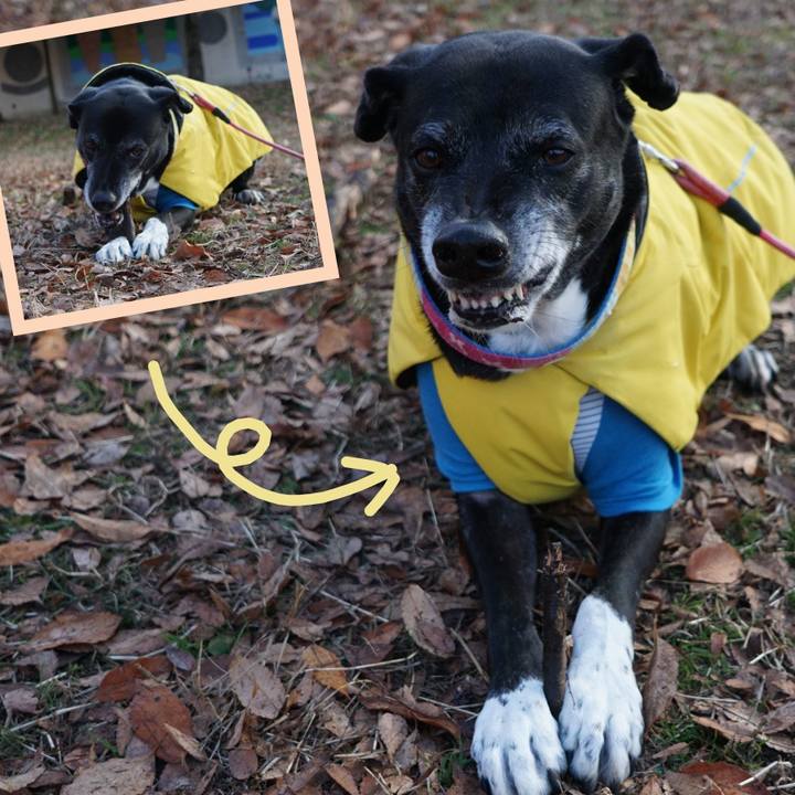 E2e1bbb9 9418 46f4 9e2b 25ef58ce71d1 1767230577496