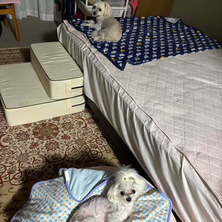 E2e1bd37 e2c6 448d 92bf 3753780747b6 1751277436848