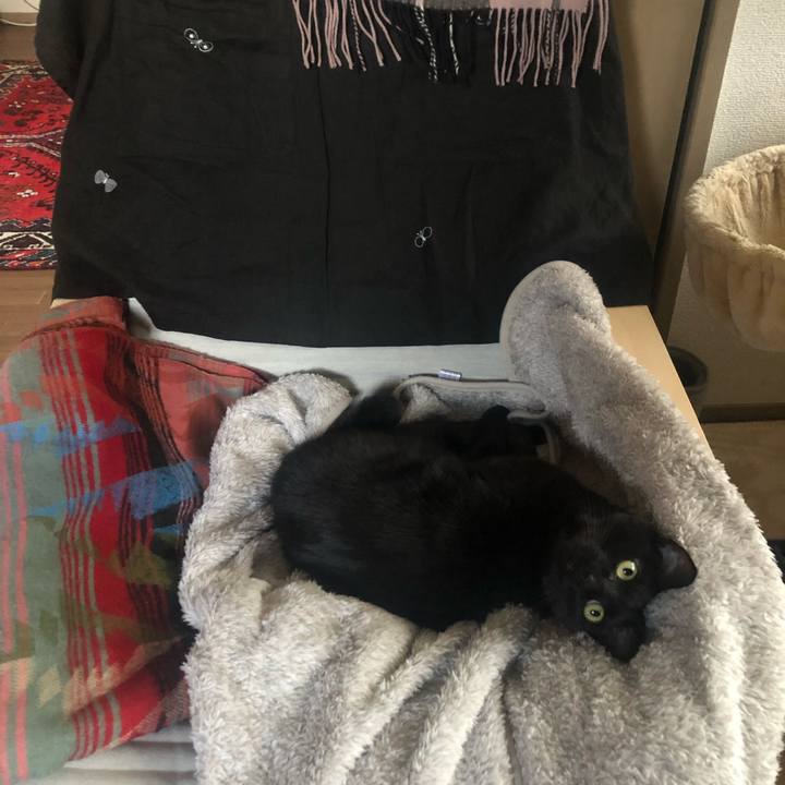 E2e2076f 0e28 4ff7 8cc5 080256c029cb 1645843223695