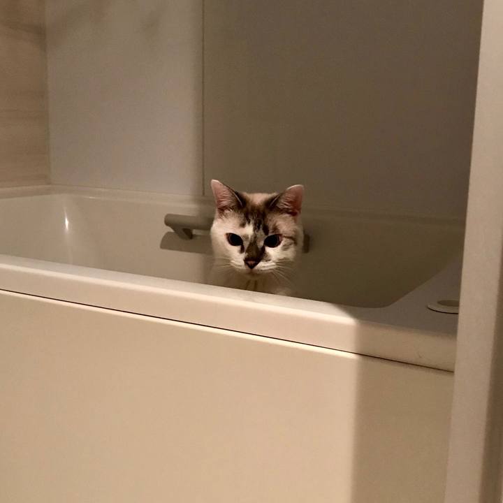 E2e23d30 2022 4f47 9d66 4be056100e66 1538523594038