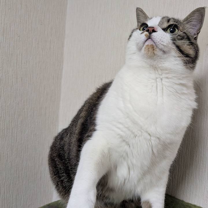 E2e24b21 0ac3 47f4 a3e6 1cb06a2a0c58 1772546760333