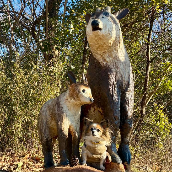 E2e261b3 bd34 41f5 9b91 285c37abdcbc 1771116627160