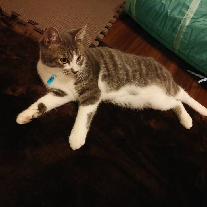 E2e28c9f b2c0 4e7b a577 2c1d7a94c994 1571572462706