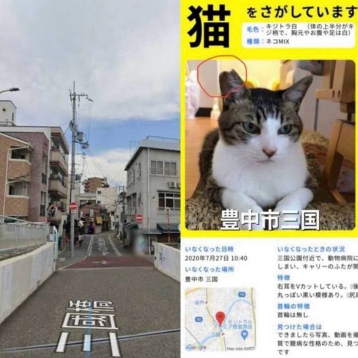 E2e291cb 0992 4ddb a151 4e352019e932 1767160798544