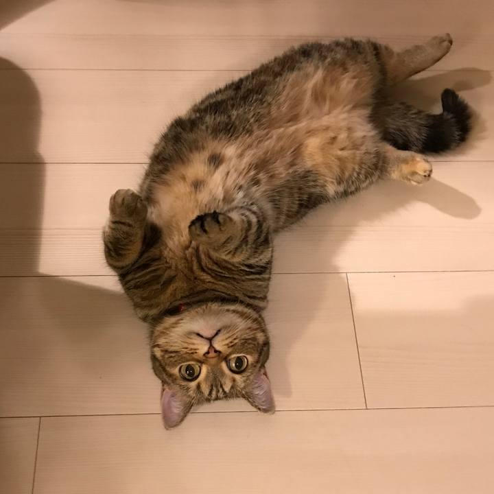 E2e293ed f089 4c88 8a5e e80c540e3b6a 1526383581536