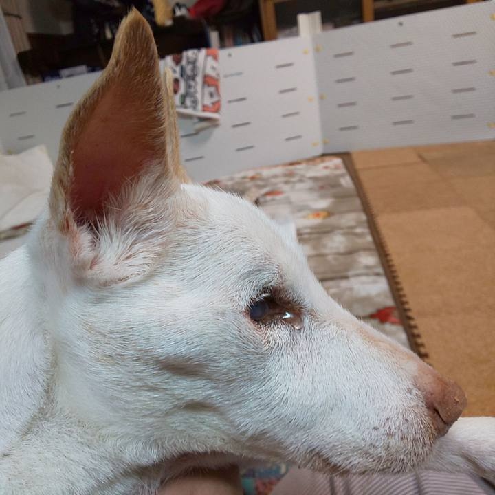 E2e297fa f7eb 4e7e 81a3 6024b6a339f7 1594984361346