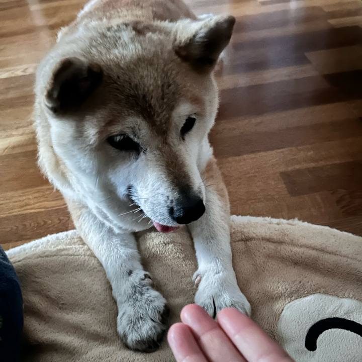 E2e2d769 564c 4c04 a72e 698b95c55e62 1750735957910