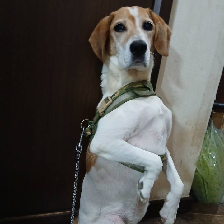 E2e2e6e4 5d54 43ca 8c22 3e801e7fddd2 1753929702764