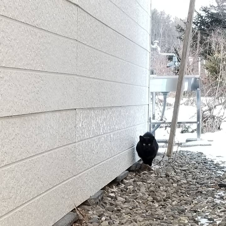 E2e2f5f9 89a6 4409 8cb1 18fc4a7f2418 1608635986949