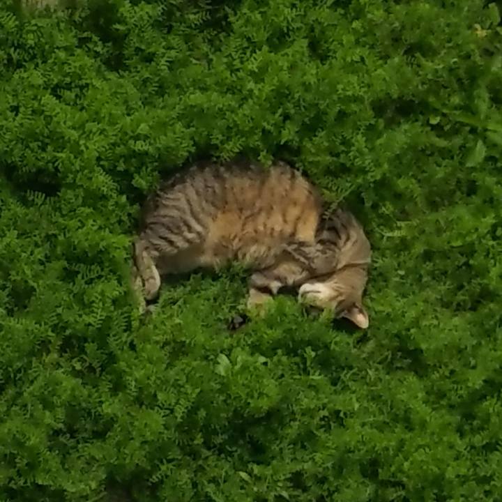 E2e2fee7 cf5d 4142 aafa 3855af860459 1555895109442