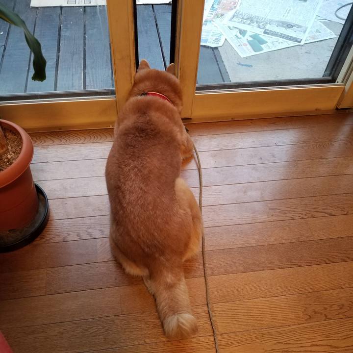 E2e3037c b07b 490a 8c57 c096fe89b0c4 1711412419980