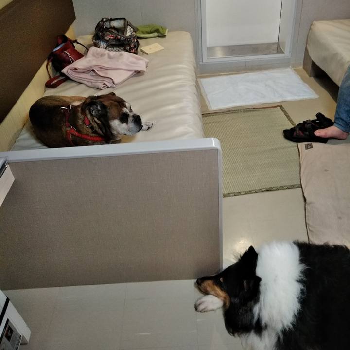 E2e31599 522f 4c6b b2c9 5b893c0ee695 1566027473394