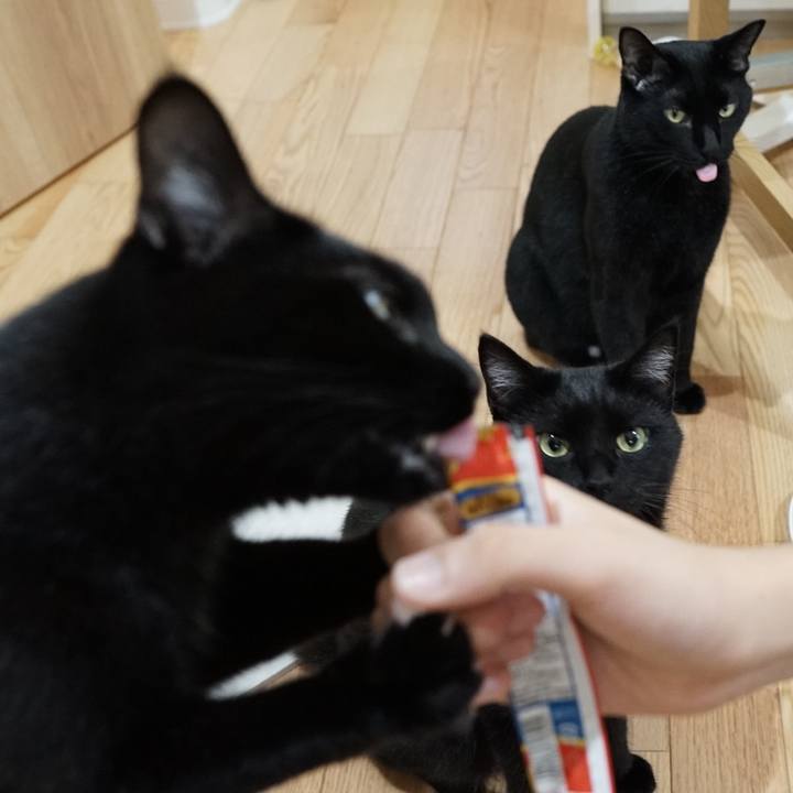 E2e325f1 5886 423b b2f6 16e3de7f8d91 1565135612567