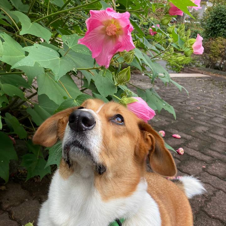 E2e32ed2 759a 4736 915d a30868ecc02f 1696550295314