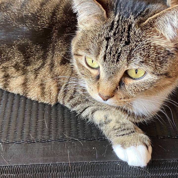 E2e38789 0526 4aba a14d f6de5d96f25c 1582083090245