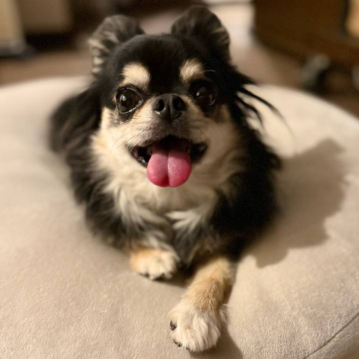 E2e39a70 c019 450f 8fbb 47ce7800b641 1727605078593