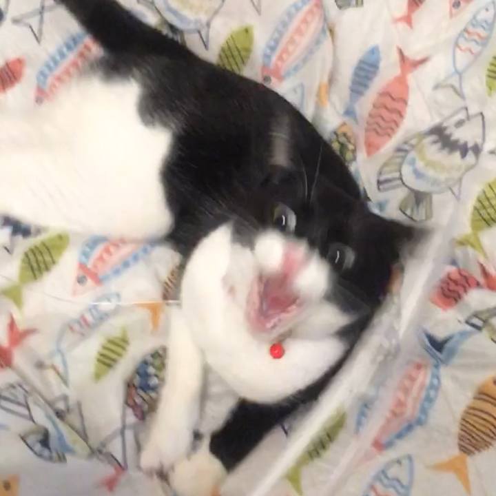 E2e3bb4b cfca 4576 aff3 6e5689408bd4 1582360214958