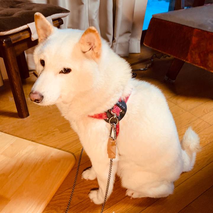 E2e3bc31 a14f 4f63 a22b 37b5a42b680c 1580168168398