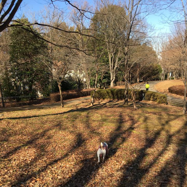 E2e3c795 0238 4f37 9b8b 3a662d7d6ad7 1640129167285