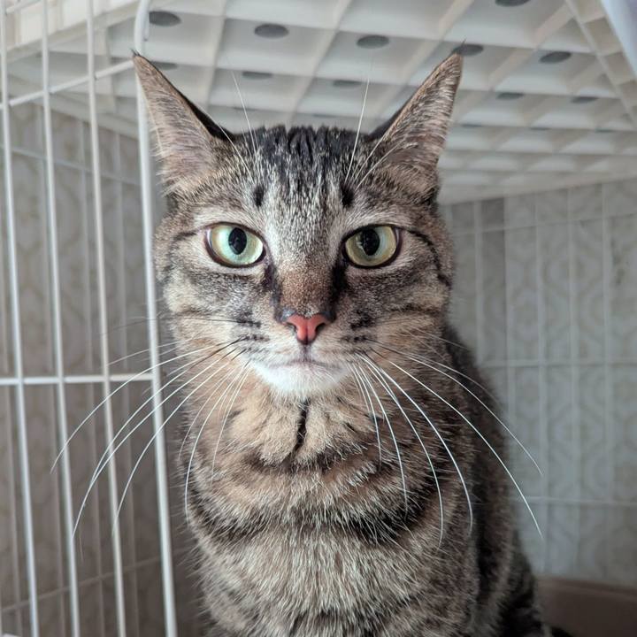 E2e453a3 3028 4423 bcd8 0b3bc481dac2 1752735792936