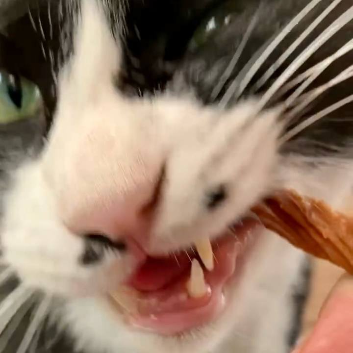 E2e4aba7 f834 47e8 ae77 1a5fb082f6be 1728380285467