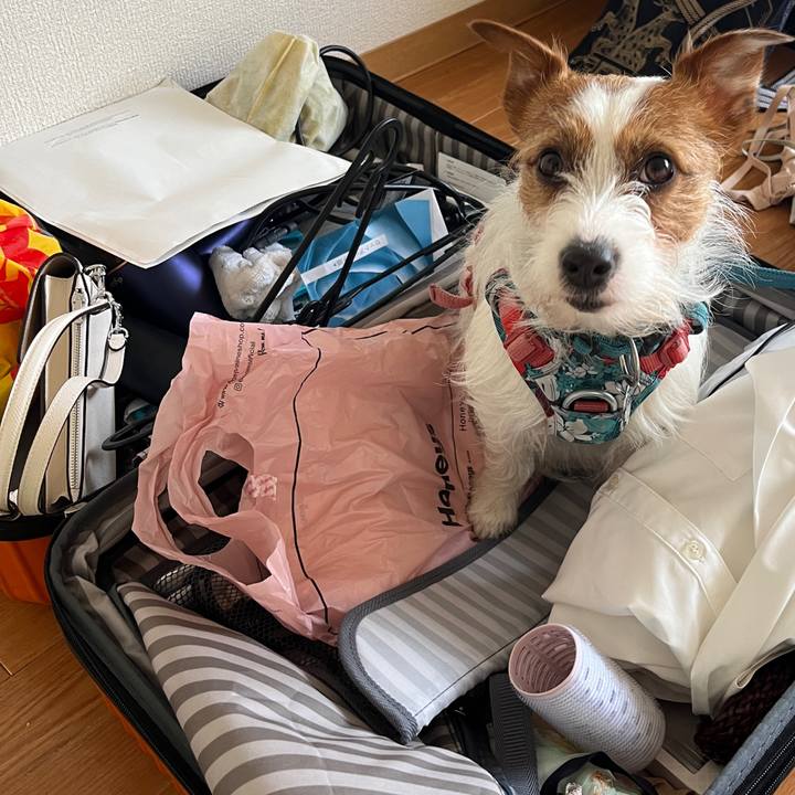 E2e4df8d 9d9f 40b0 bb9f addf6ce5f63d 1774164752602