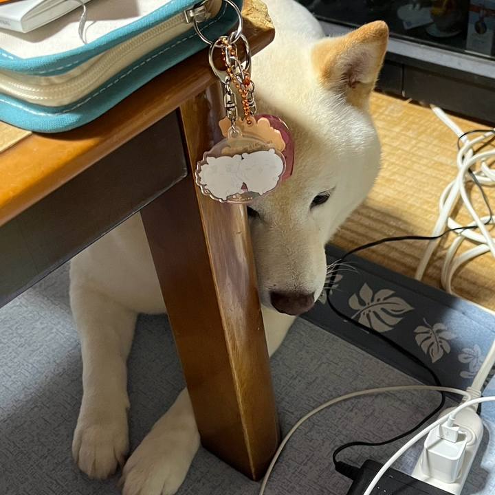 E2e4f96e 9b7b 4df3 aab2 eba369b31a1c 1718144158552