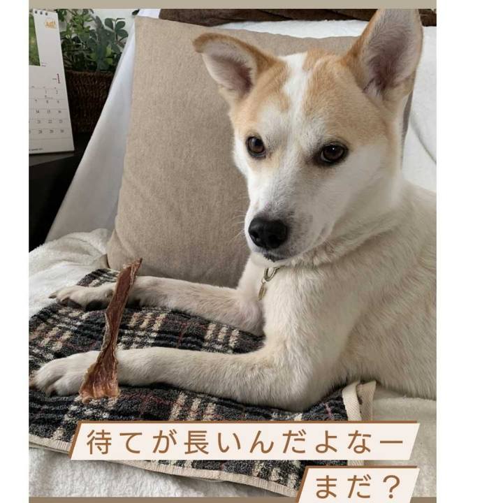 E2e5044f dd97 42aa a876 680fefc5bd0e 1611625527871