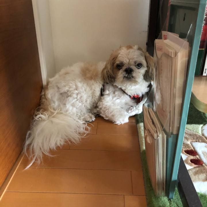 E2e519c4 8a81 4295 8527 a37d840f993c 1591307159318