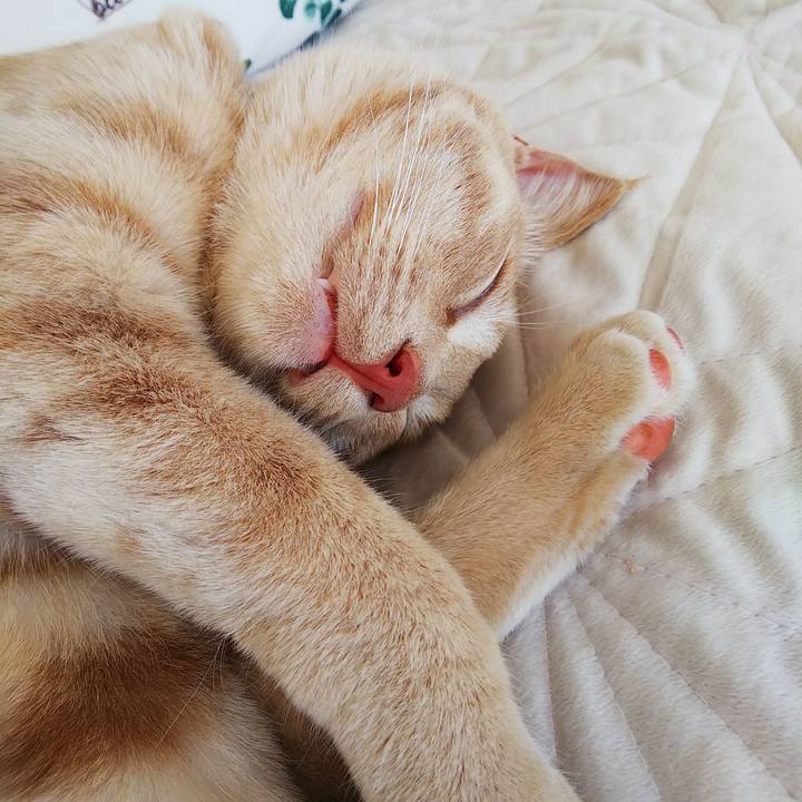 E2e54a5c 3b1c 4512 986d 88770bec6644 1558155395022