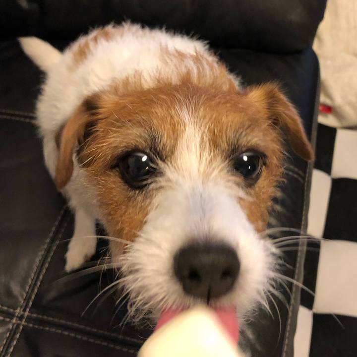 E2e55a85 a712 43c8 bf83 94962b54693a 1571050319739