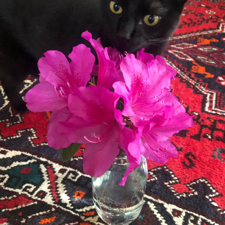 E2e55c3a 56f7 40c9 ad08 fb934c2b3068 1652265135376