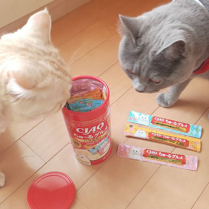 E2e56da4 d4f2 4dbd 9cd6 c8401945debe 1543988750008