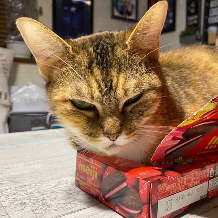 E2e582c3 12bd 48ce ac50 cbbe3347a111 1605449189260