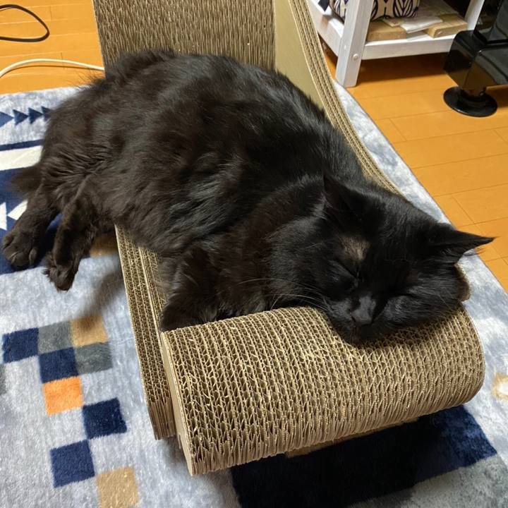 E2e5950c 3064 4625 8fa0 a346ed985cfe 1588341108220