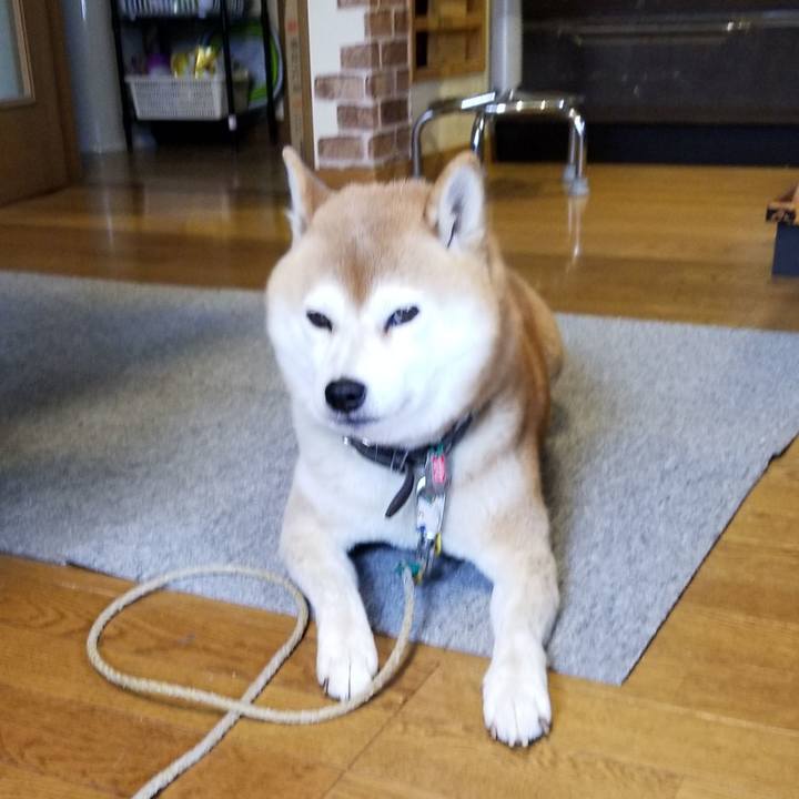 E2e5a341 3db7 42cb bffa a74e1dce51b8 1603941321798