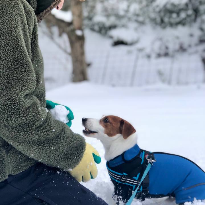 E2e5ab76 68e0 4c6a 93e0 6523b8a3da71 1644141254715