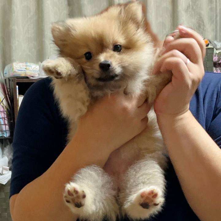 E2e5b791 4f8b 4ff2 adc7 3a0adb5ea416 1725574401324