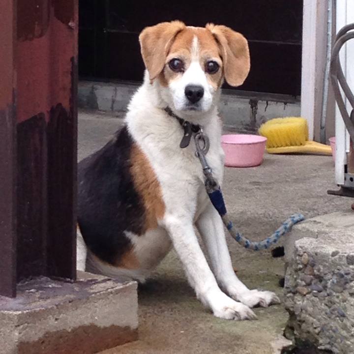 E2e5bb6a ed75 4153 b441 c1c33391bbde 1511001890017