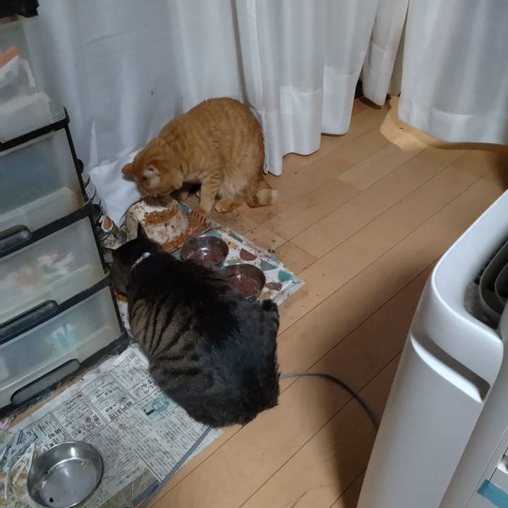 E2e5dc62 ea44 466b ab9d ea173458f100 1700905933606