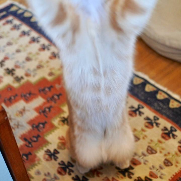 E2e6016a 3e56 4244 a5ac 86fec936af71 1579953109608