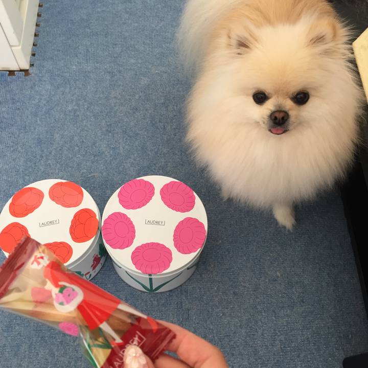 E2e64834 e153 4fe2 9e9b bc821f7c5d21 1522632512572