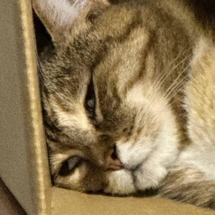 E2e6877b 3f1e 4142 9cdb ba78175f46f5 1721017789625