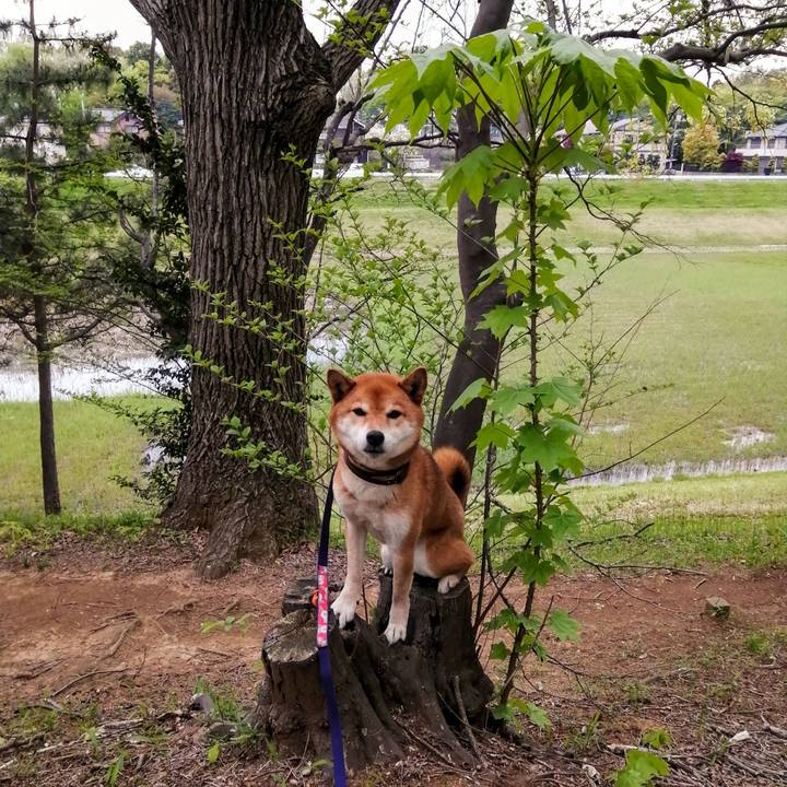 E2e6c8fe 8a71 49b2 8229 e49f42cf2ed3 1617955941216