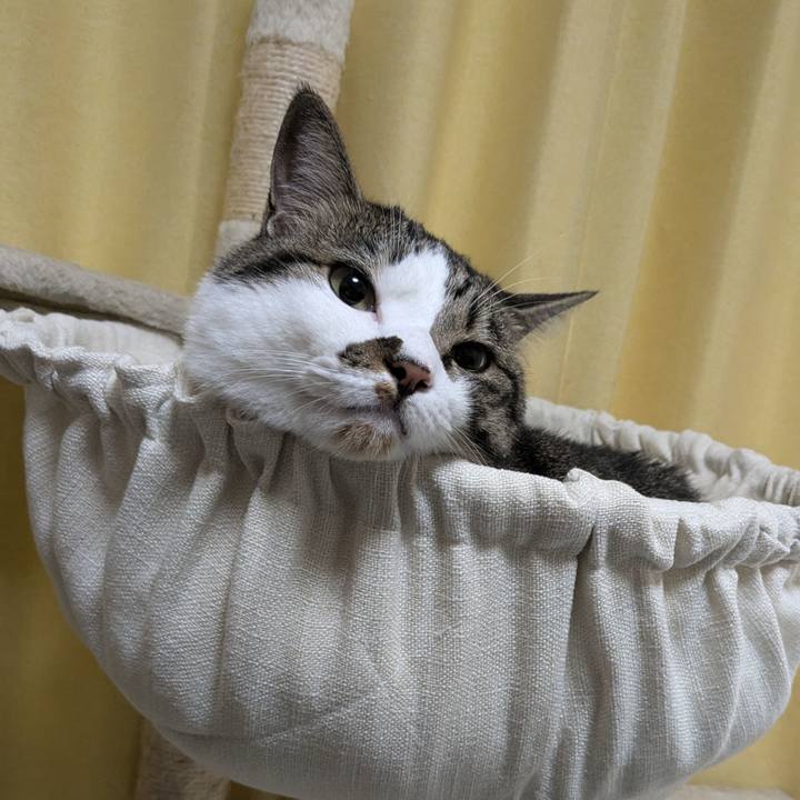 E2e6cdc9 d26a 4c6e 87d5 978a26c1bdc8 1721250235264