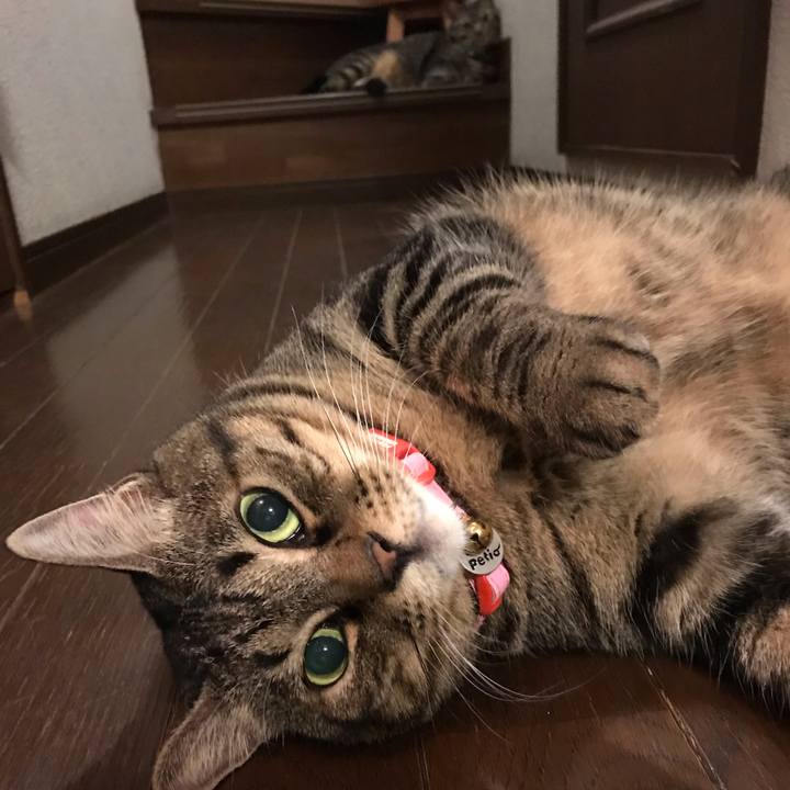 E2e6e03a fea3 4c5d ad48 8ad3d0284eb9 1599587948581