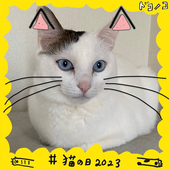 E2e6f6b9 e292 48ff aa31 2827b3cf955c 1677021987010